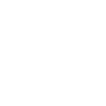 EEERDigital55